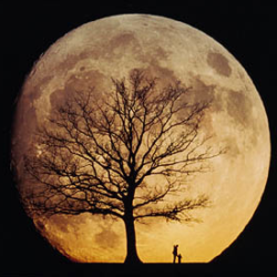 Silhouettes of a 3-year-old Christof with his father. Image by family friend Franz Kohlhauf Moon Child